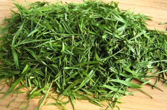 哪類人不適合喝石竹茶，石竹茶的功效與禁忌