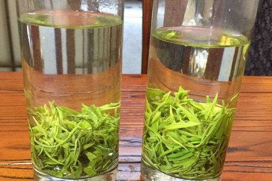 黃金茶的功效及禁忌癥，黃金茶有什么副作用嗎？