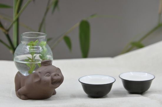 正確泡茶13個(gè)流程，新手從零開始學(xué)泡茶的步驟