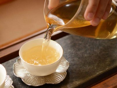茶葉的專業(yè)知識，關于茶的基本知識大全