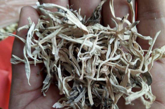 麗江雪茶的禁忌，白雪茶的副作用