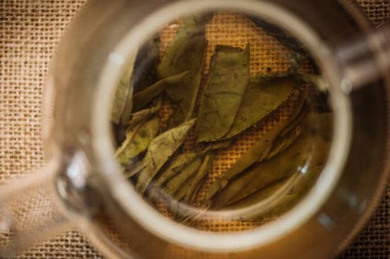 苦丁茶副作用，苦丁可以經(jīng)常喝嗎？