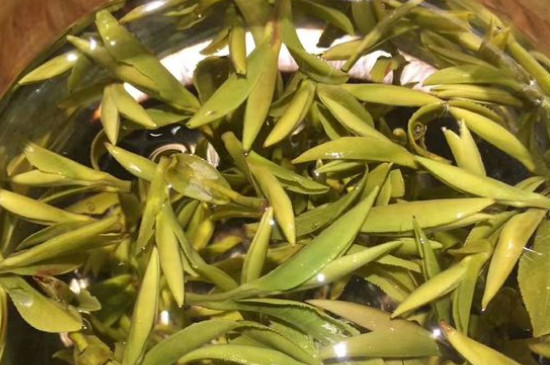 八大茶系都有哪幾種，八大茶系都是什么名字