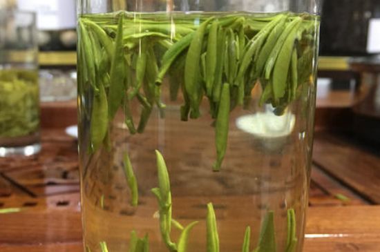 雀舌茶的副作用，雀舌茶什么人不能喝？