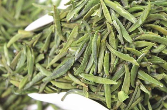 雀舌茶什么人不能喝，雀舌茶的功效與禁忌