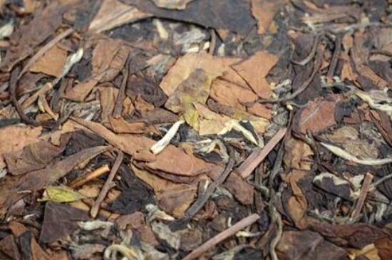福鼎白茶能長時間悶泡嗎，老白茶可以悶著喝嗎？
