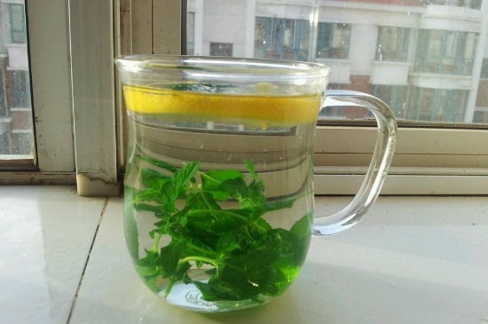薄荷茶的功效與作用，喝薄荷茶有什么好處？