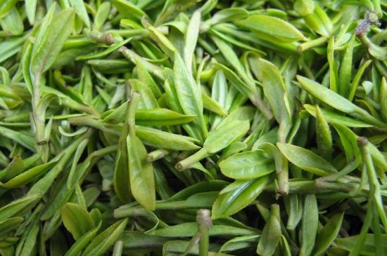 世界最貴的茶葉排行榜，十大最貴的茶