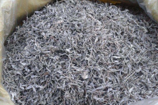 怎樣辨別莓茶發(fā)霉了，莓茶發(fā)霉和白霜的區(qū)別
