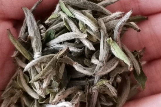 如何買茶葉不上當，怎么買茶葉不被坑？
