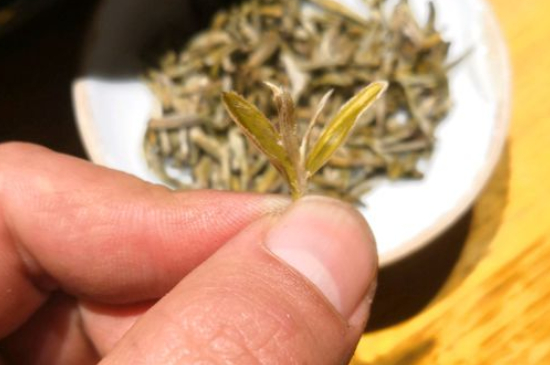 六大茶類哪種適合長期存放，日常如何保存方法一覽？