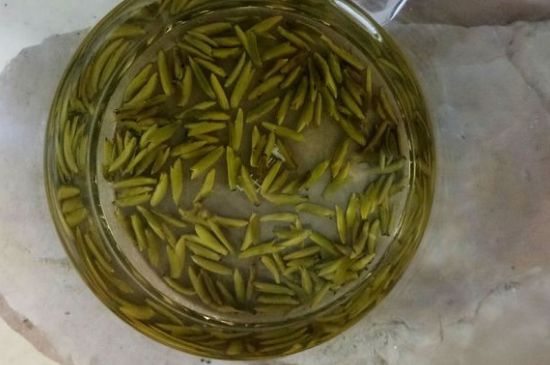 茶葉在哪里買比較好，哪里能買到好的茶葉