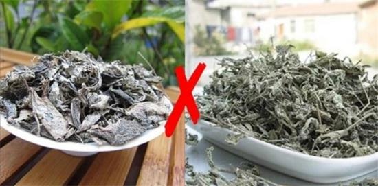 張家界茅巖莓茶與藤茶是同一種茶嗎，藤茶跟莓茶一不一樣？