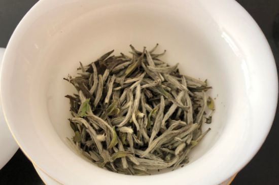 春茶上市白茶的好壞怎么區(qū)分，春白茶怎么分辨好不好？