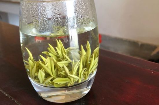 安吉白茶耐寒嗎，白茶適合放冰箱嗎