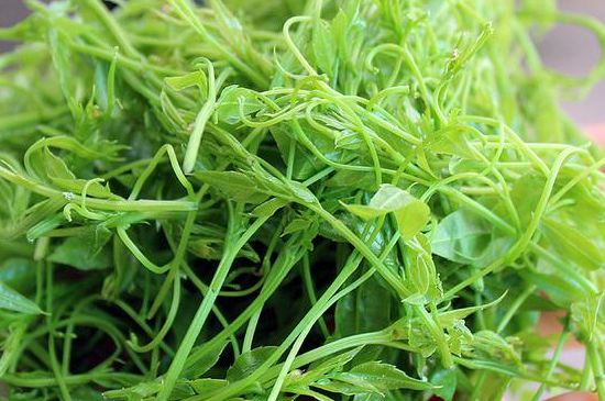 茅巖莓茶別名是什么，莓茶別名叫藤茶嗎？