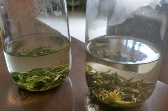 真假碧螺春泡水后區(qū)別，蘇州洞庭碧螺春怎樣鑒別好壞？