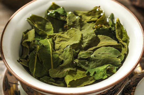 陳茶還是新茶好，茶葉是新茶好喝還是陳茶好喝