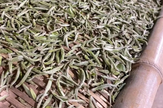 過期茶葉的八大妙用，過期的陳茶葉還能干什么用？