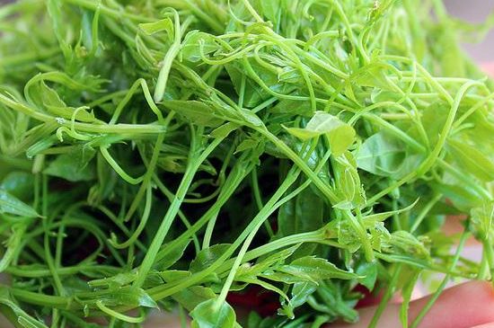 茅巖莓茶保質(zhì)期有多久，張家界莓茶存放時間長了還能喝嗎？