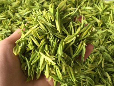 白茶品質(zhì)如何區(qū)分，白茶的優(yōu)劣質(zhì)量辨別方法