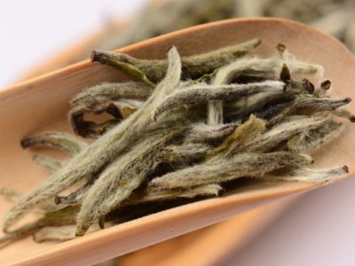 白毫銀針?lè)艓啄曜詈?，白毫銀針什么年份最好？
