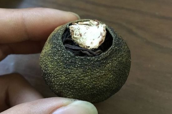 怎么知道小青柑是真的假的圖片，如何區(qū)分真假新會小青柑