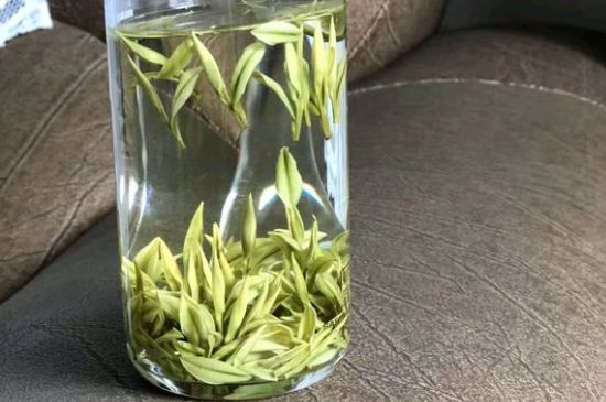 安吉白茶夏天怎么保存，安吉白茶能冷凍儲存嗎？