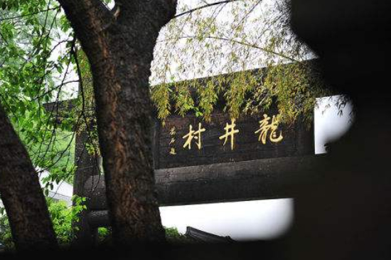 杭州買龍井茶攻略，怎么買到正宗的西湖龍井？