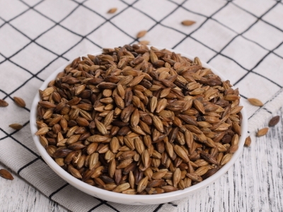 圓形顆粒狀茶是什么茶，像飼料一樣一粒粒的是什么茶？