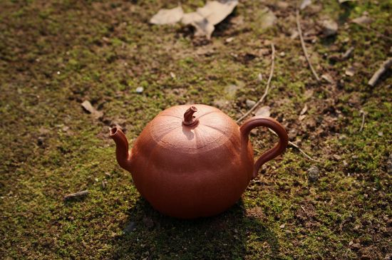 紫砂壺泡什么茶最佳，紫砂壺一般泡什么茶？