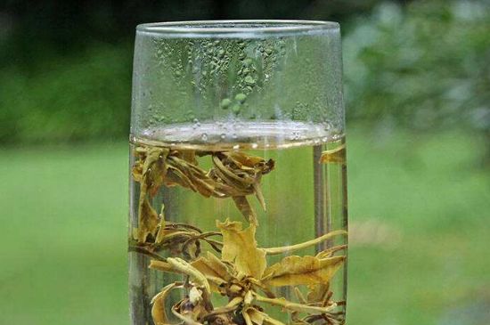 茉莉龍珠什么人不能喝，茉莉龍珠茶什么體質(zhì)不能喝？