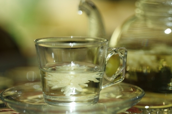菊花茶天天喝行嗎，每天喝菊花泡茶喝好嗎？