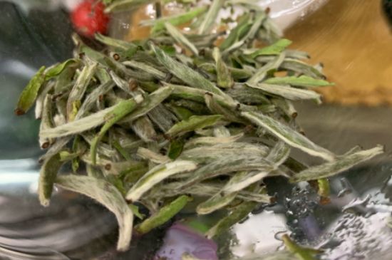 蒸汽煮茶器適合什么茶，蒸汽煮茶器適合用綠茶嗎？