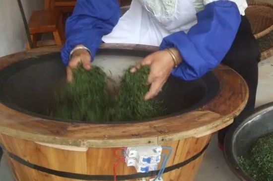 自家炒茶葉怎么炒，自己炒茶葉的步驟