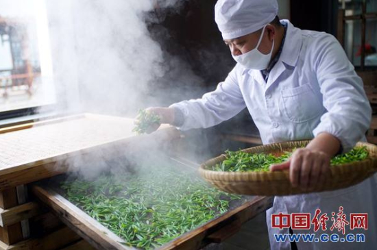 炒青綠茶與綠茶的區(qū)別，烘青和炒青哪個好喝？