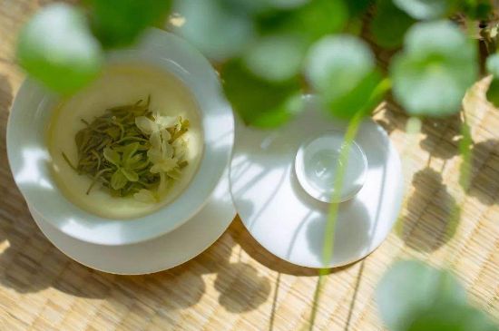 茉莉花茶6種人不要喝，什么體質(zhì)不適合喝茉莉花茶？