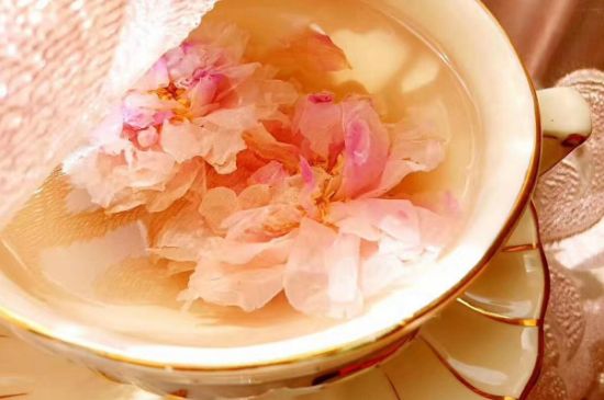 玫瑰花茶一周喝幾次，玫瑰花茶可以天天喝嗎？