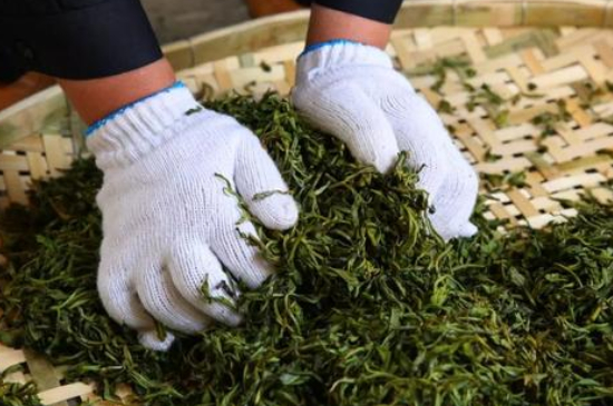 綠茶加工工藝流程圖，綠茶的加工制作包含哪幾個(gè)步驟？