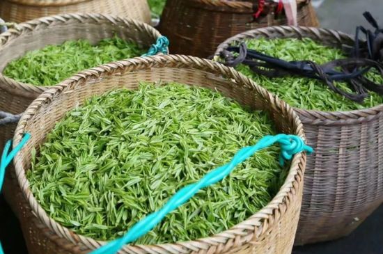 茶葉怎么炒制才香，怎樣炒茶葉更香？