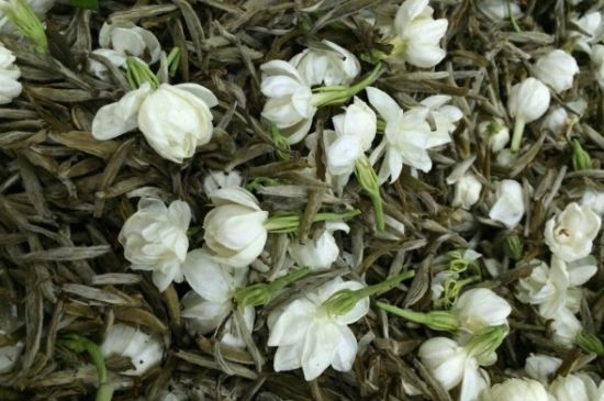 茉莉銀針口感，茉莉銀針是什么味道？
