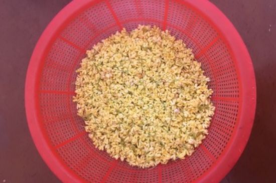 干桂花茶的制作方法，怎樣自制桂花茶？