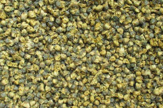 菊花茶大朵小朵有什么區(qū)別，菊花喝大朵還是小朵？