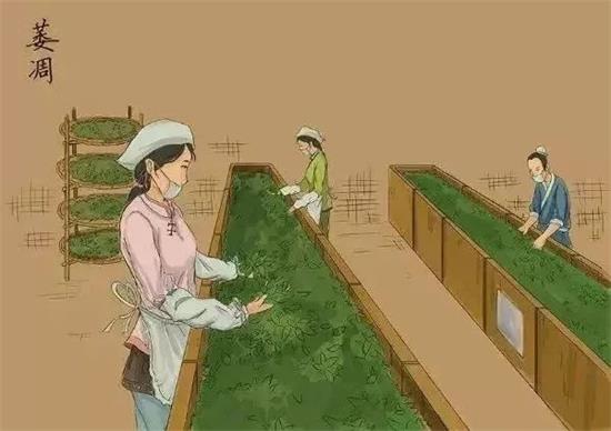 制茶八步驟，制茶工藝流程圖