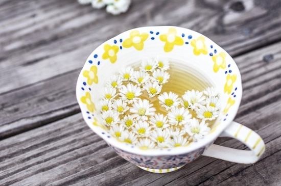 孕婦可以喝菊花茶嗎，菊花對胎兒有致畸作用？