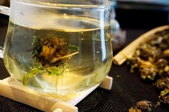 蒲公英最佳搭配，蒲公英茶和什么搭配泡水最佳