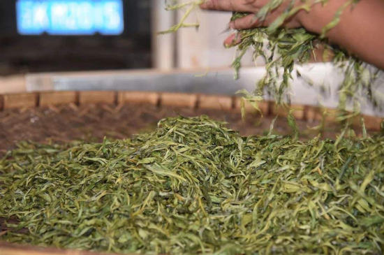 炒青綠茶與綠茶的區(qū)別，烘青和炒青哪個好喝？