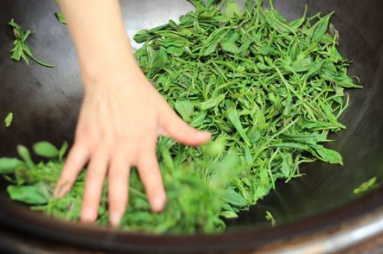 炒青綠茶與綠茶的區(qū)別，烘青和炒青哪個好喝？
