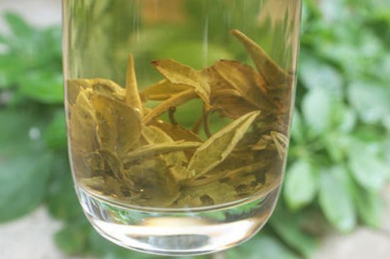 茉莉龍珠泡開后為什么都是梗，茉莉龍珠泡開后什么樣？