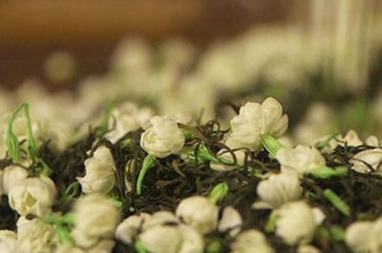 蒸茶器可以蒸花茶嗎，蒸茶器能用來蒸茉莉花茶嗎？